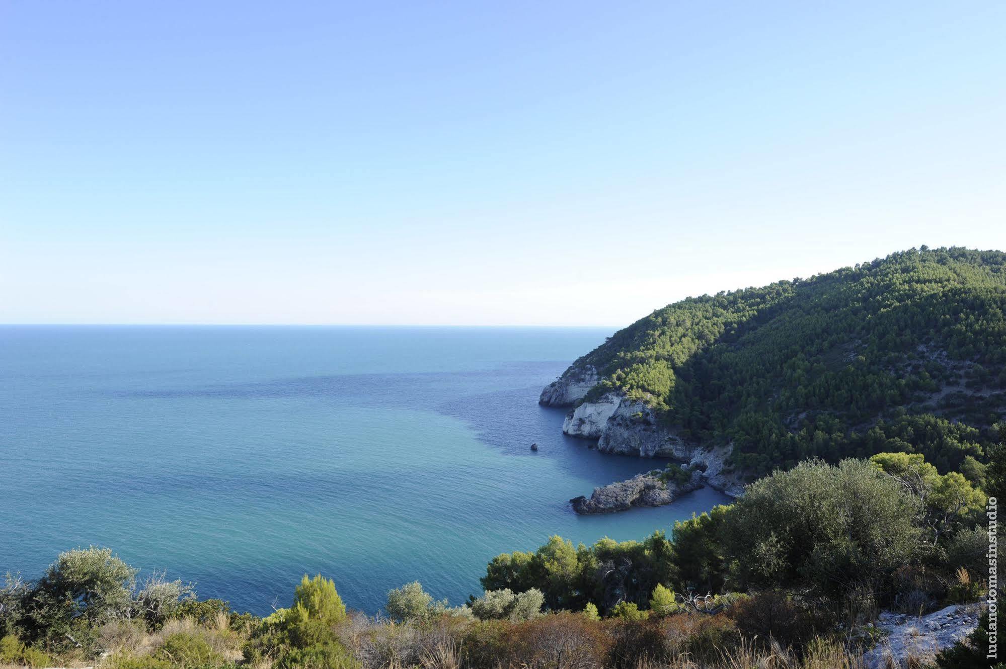 Pugnochiuso Resort - Hotel Del Faro 外观 照片